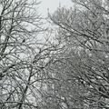 Qu'appelle-t'on neige industrielle ?