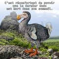 C'est réconfortant de savoir que le dernier dodo est mort dans son sommeil.