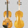 VIOLON 