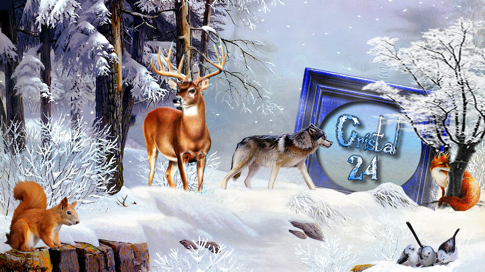 cristal24