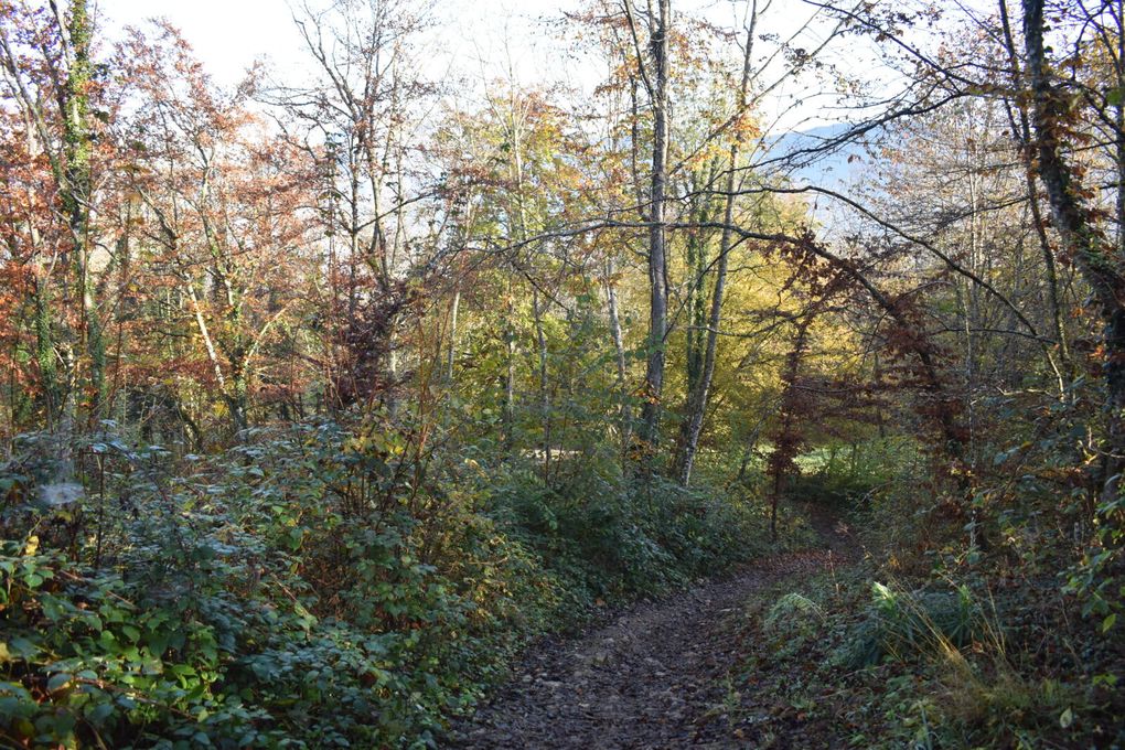 Randonnée matinale au &quot;Mont - Saint - Michel&quot; Savoyard