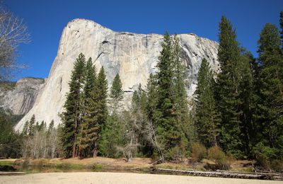 Jours 17 à 21 - Yosemite National Park