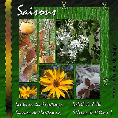 Carte "les 4 saisons"