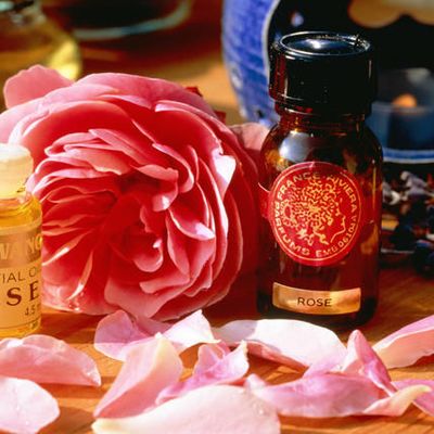 Sur le chemin de ma première recette...