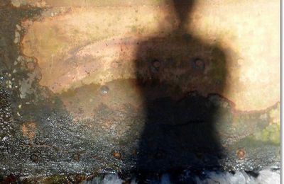 Déjà une ombre Sur le mur de l'eau Elle approche