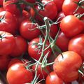 sauce tomate maison
