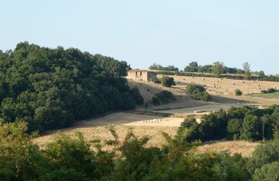 LA FERME...