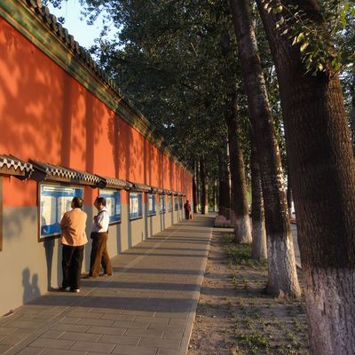 La dernière promenade