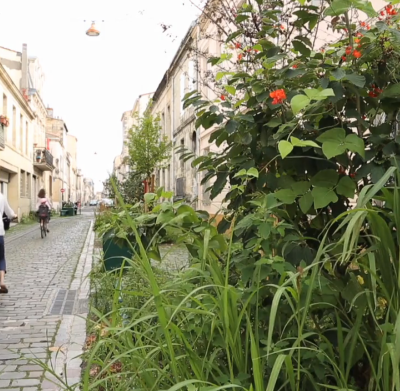 Naisssance d'une rue jardin
