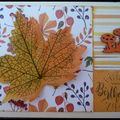 Cartes d'automne