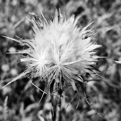 Balades du mois: juin