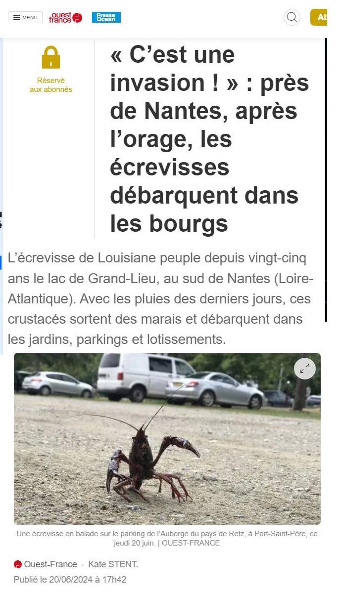 L'invasion 