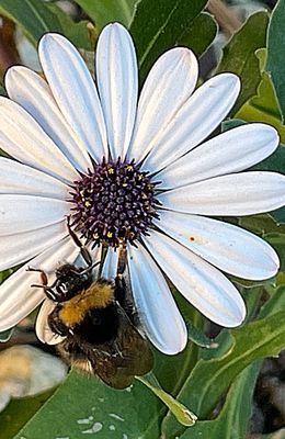 Mercredi 05 novembre 2025 Agréable de passer du temps au jardin , mes photos sont d'hier sous un ciel clément 20° 