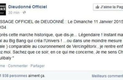 Dieudonné : cherchez l'erreur