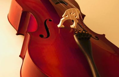 Autour du violoncelle... Première partie