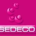 Externalisation : SEDECO et son expertise offshore !