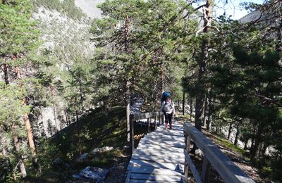 Premiers pas en Laponie finlandaise : le parc national de Pyhä-Luosto