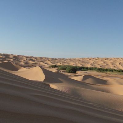 Une méharée de deux semaines........