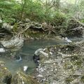 Lundi 06 juin 2022 La haute vallée de la Lergue