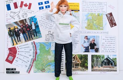 Carnet de voyage : le VRAI, grandeur nature