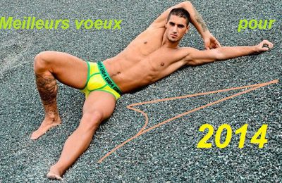 Bonne année 2014