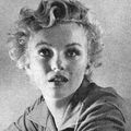 Marilyn Au fil du web