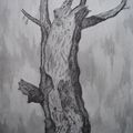 ARBRE NU