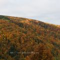 Sortie aux couleurs d'automne