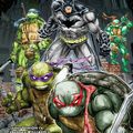 IDW Teenage Mutant Ninja Turtles / Tortues Ninjas : les mini séries