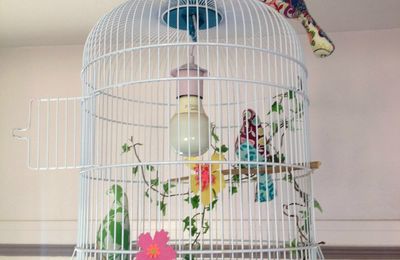 ☁ Comme un oiseau en cage ☁