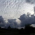 Nuages de juillet au soleil déclinant