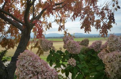 VUE SUR LA PLAINE...