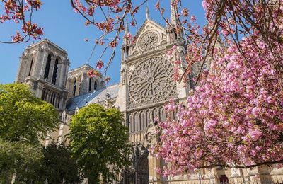 Dieu toujours verdoie et fleurit