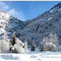 Neige photo d'hiver