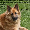 Esaïe 45 verset 22