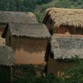 Jolis villages Malgaches (région d'Ambavalao - Fianarantsoa)