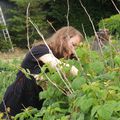 le jour des framboises