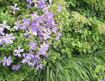 Le potager de Saint Jean