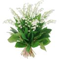 Quelques brins de muguet...