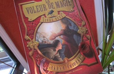 Le Voleur de Magie (tome 2)