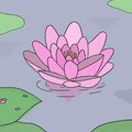 23. Fleur de lotus