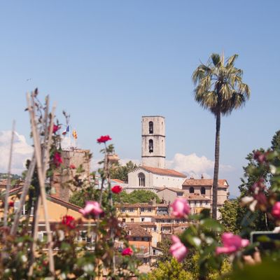 Grasse et la rose (Exporose 2025)
