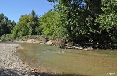 Souvenir d'été à Crécy