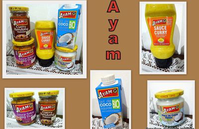 Ayam - produits alimentaires asiatiques