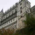 la partie face a la Loire du chateau d'Amboise