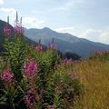 "Le col d'Anielle".