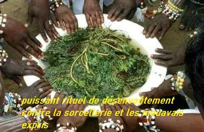 RETOUR AFFECTIF RAPIDE DE SON EX EN 24H medium voyant marabout compétent vognon bossa