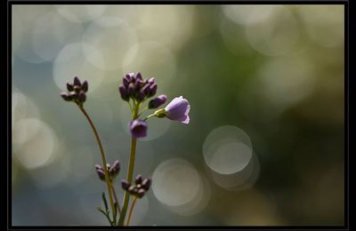 Belle journée à tous