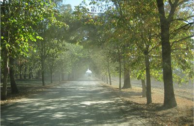 Fête d'automne au Domaine de Péré # HSE