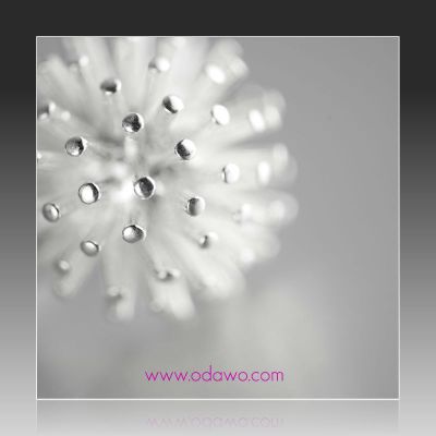 Gagnantes des Ladie's Night du mois d'Août :